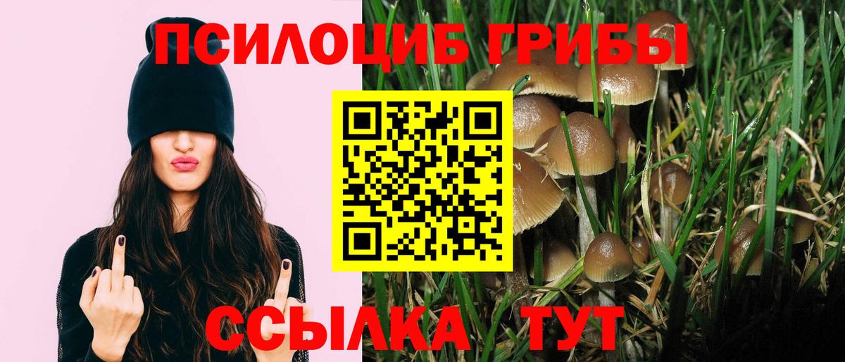 Псилоцибиновые грибы Cubensis  Вход с VPN  что такое   Печора 